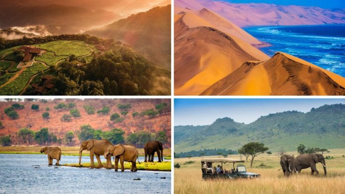 Top 8 Countries to Visit in Africa for 2024