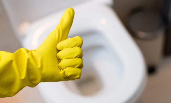 toilet