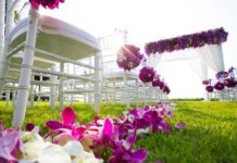 Amazing Flower Centerpiece Ideas That You Will Love