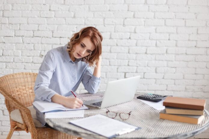 Essay Writer