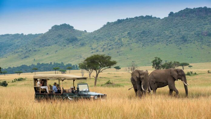 Masai Mara in Kenya