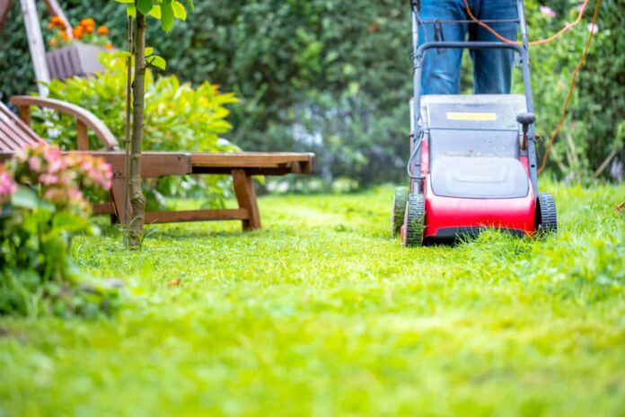 Dangers of Mowing When the Grass is Wet