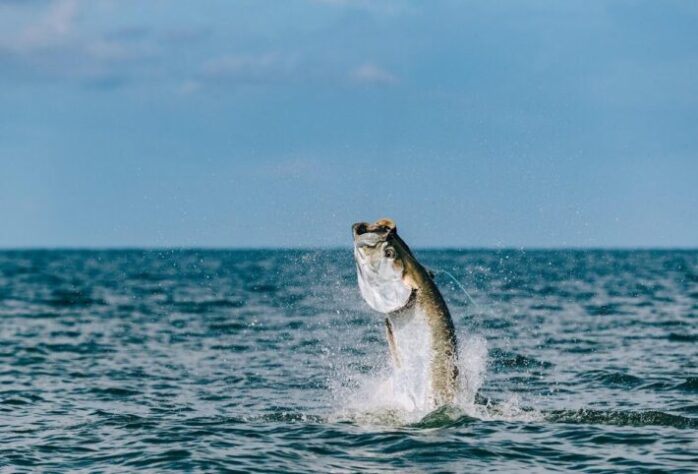 View of 10 Mistakes to Avoid When Saltwater Fishing - FotoLog