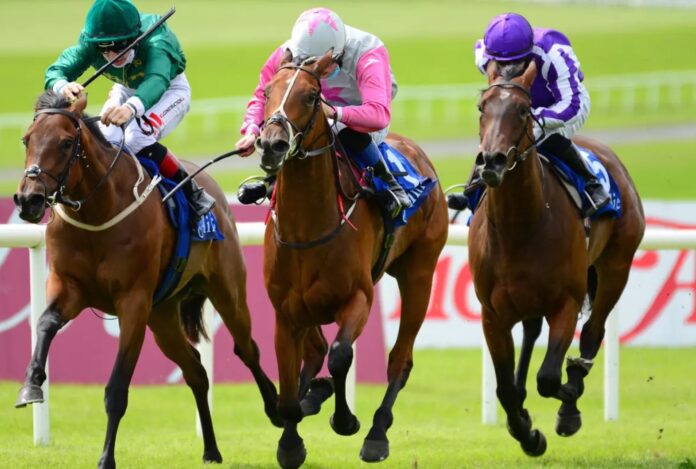 Horse Racing