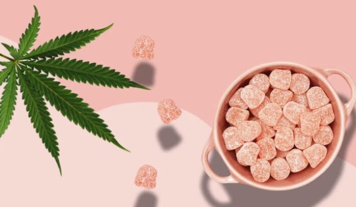 Difference Between Hemp Gummies and CBD Gummies