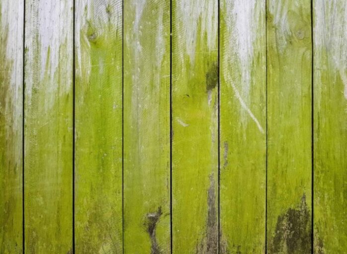 Get Green Algae Off A Composite Deck