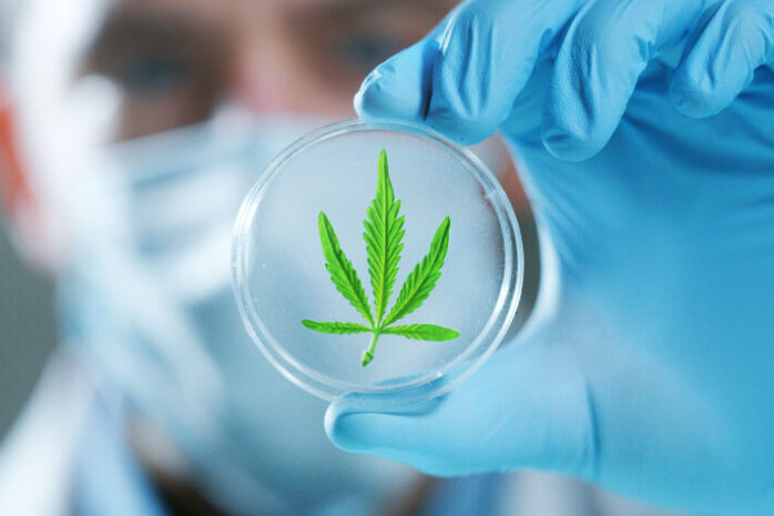 Third-party Cannabis Testing