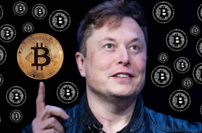 Elon Musk Became the Biggest Influencer in the Cryptocurrency World