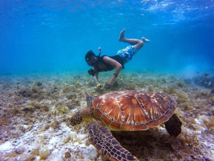 snorkeling