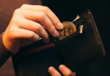 How To Search for Your Lost BTC or Wallet? – 2025 Guide