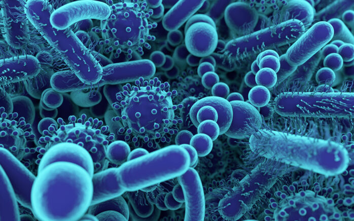 viruses-bacteria-fungi