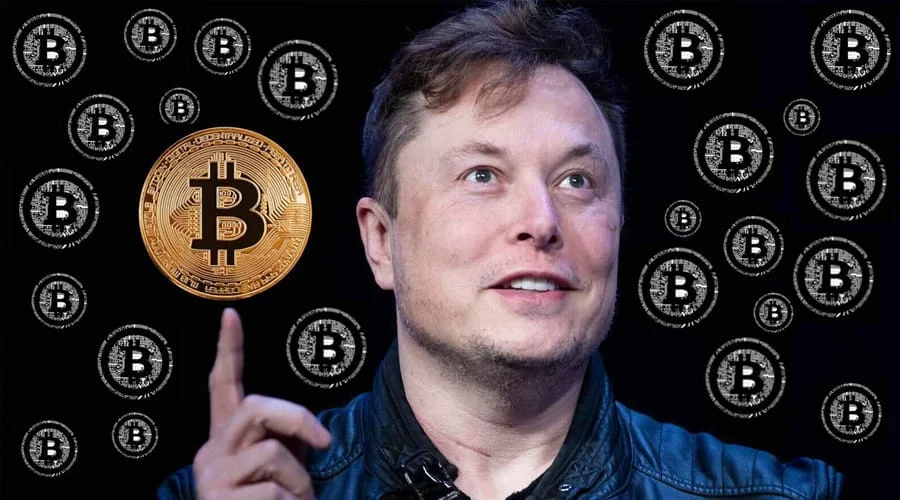 Elon Musk the Most Popular Crypto Investor