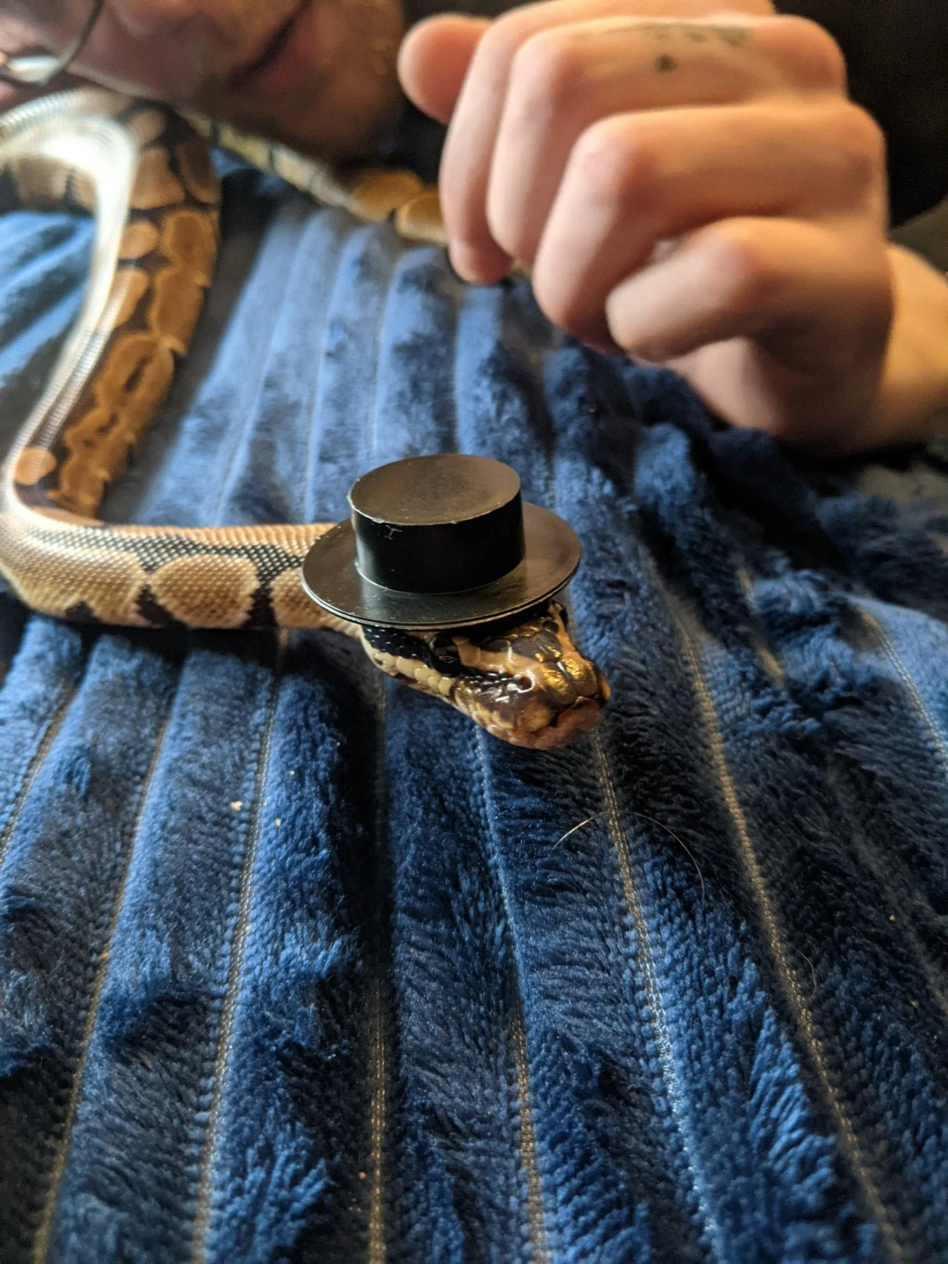 snake