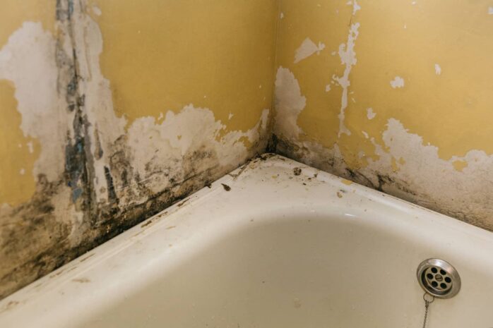 Removing Mold From Your Bathroom