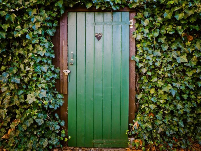 Wood Door