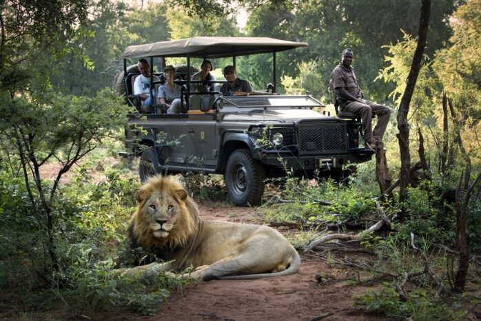African Safari Destinations