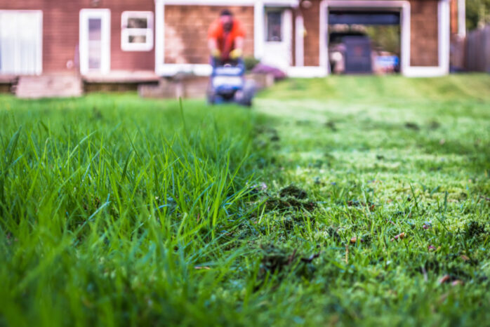 Eco-Friendly Tips for Your Lawn and Garden