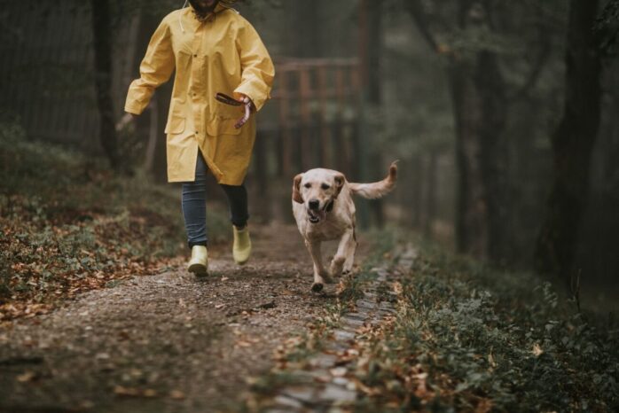 Protect Your Dog from Wind and Rain