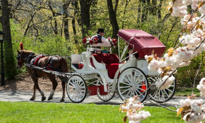Experience Central Park with a Horse Carriage Ride