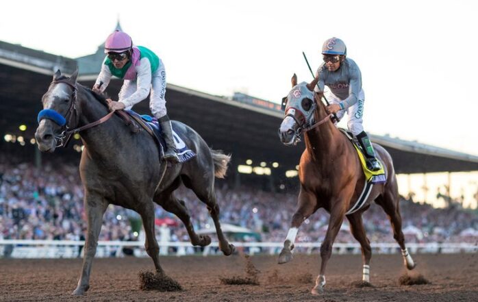 Dosage Index in the Context of Horse Racing