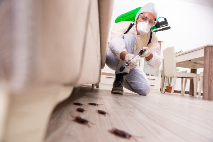 pest-control