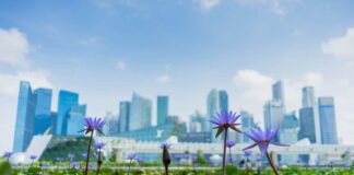 Locations to Invest in Property in Singapore