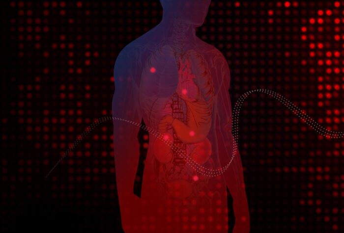 How Stress Affects Your Heart and What You Can Do About It - FotoLog