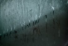 Hidden Costs of Hard Water Damage for Airbnb and VRBO Hosts in Honolulu