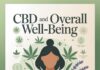 The Most Common Questions About CBD and Overall Well-Being CBD and Overall Well-Being